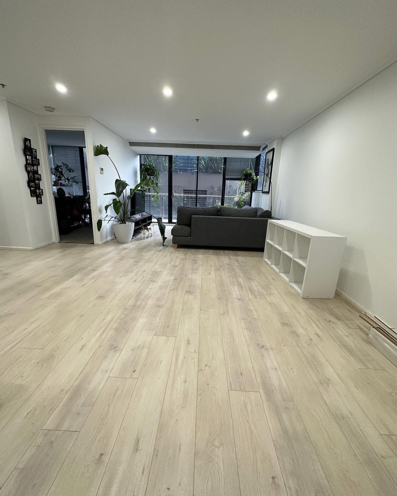 SPC flooring installation project